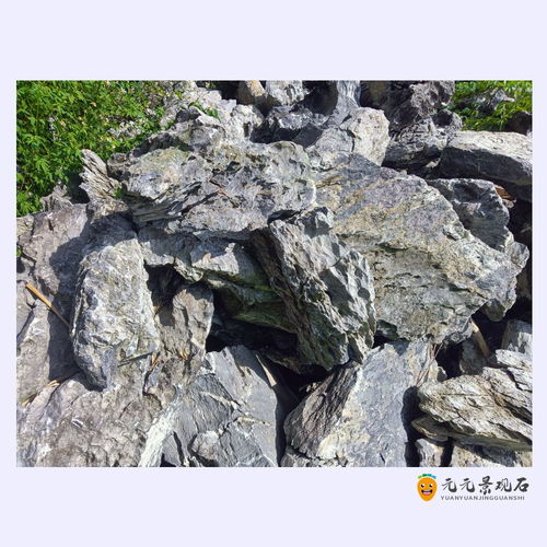 平台石批发 深圳平台石厂家 广场绿化搭配石图片