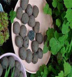 安陆水处理陶粒参考价格产品质量好