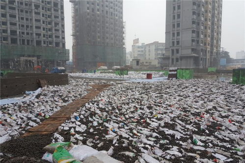 温岭花卉陶粒一方多少钱