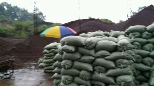 韶关市陶粒批发厂