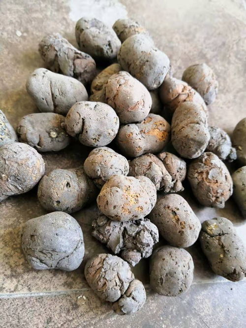 凤县找坡陶粒价钱