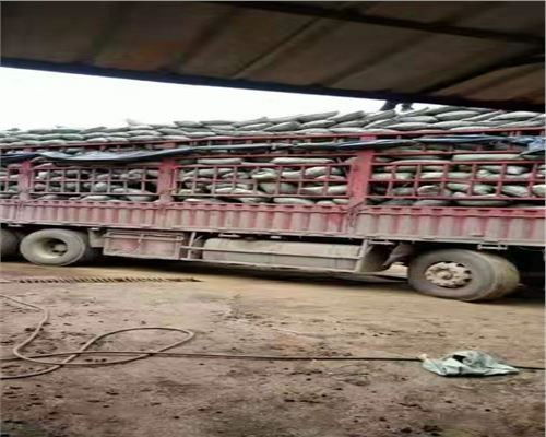 2021揭阳粘土陶粒多少钱电话报价