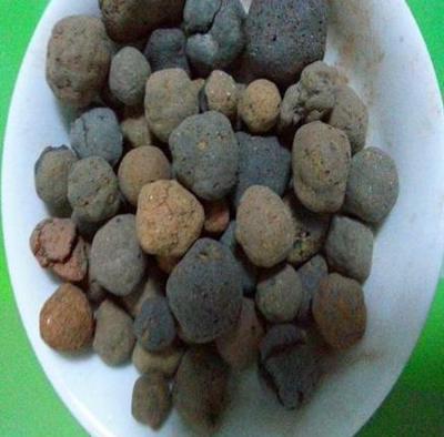 养殖君子兰、酒瓶兰,土壤埋点“它”,根系和叶片蹭蹭长