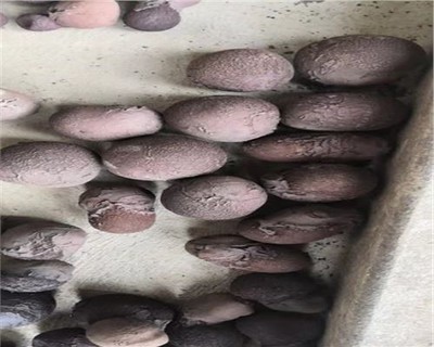 沧州建材陶粒价格解析及工程应用
