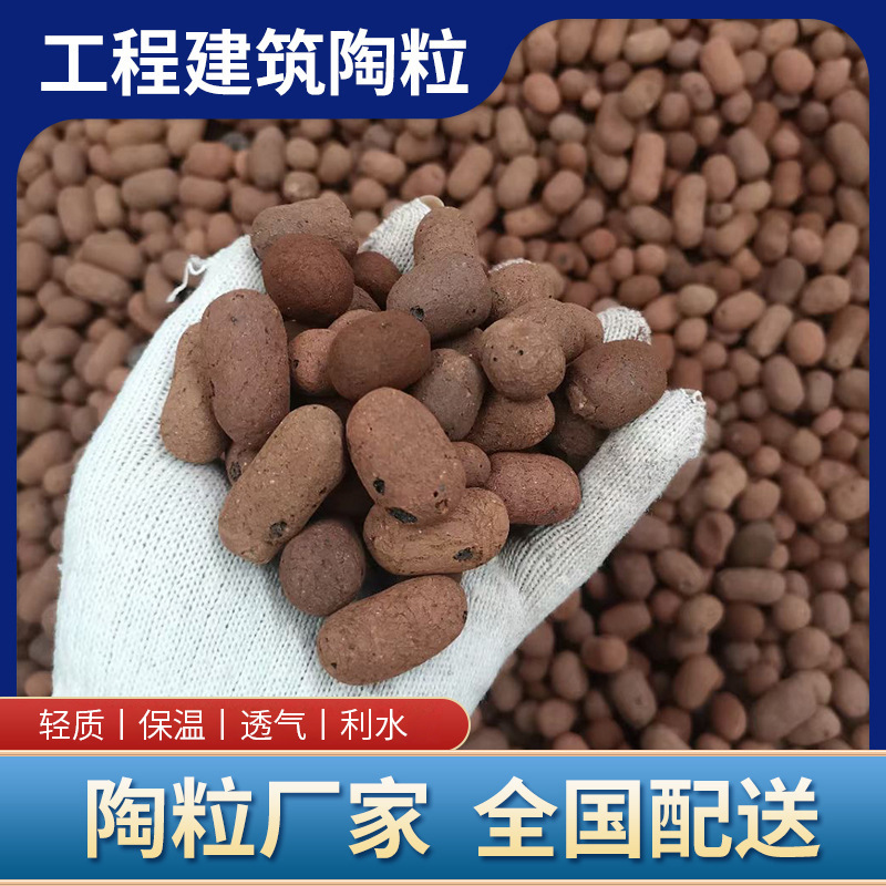 陶粒在园艺中的多功能应用 从多肉土垫底到工程回填