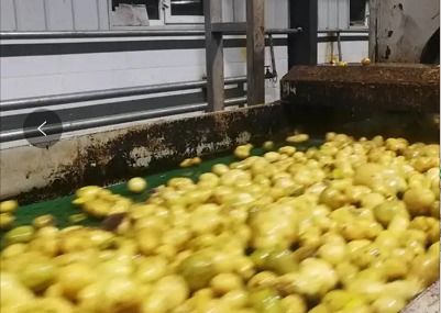 春季开工背景下 马铃薯淀粉与工程陶粒价格走势分析